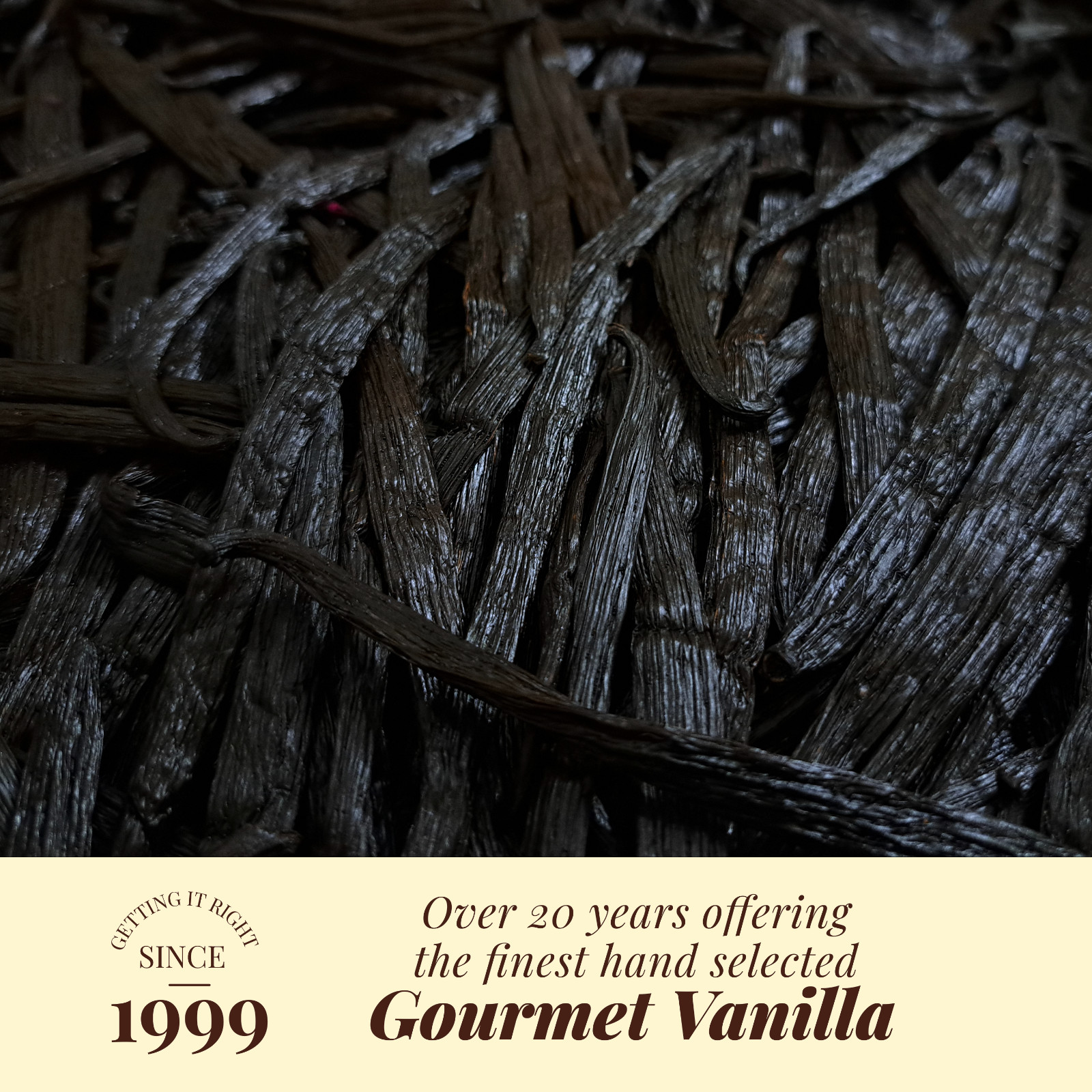 Whole Vanilla Beans, Grade A Vanilla Pods, Vanilla Beans for Making Extract
