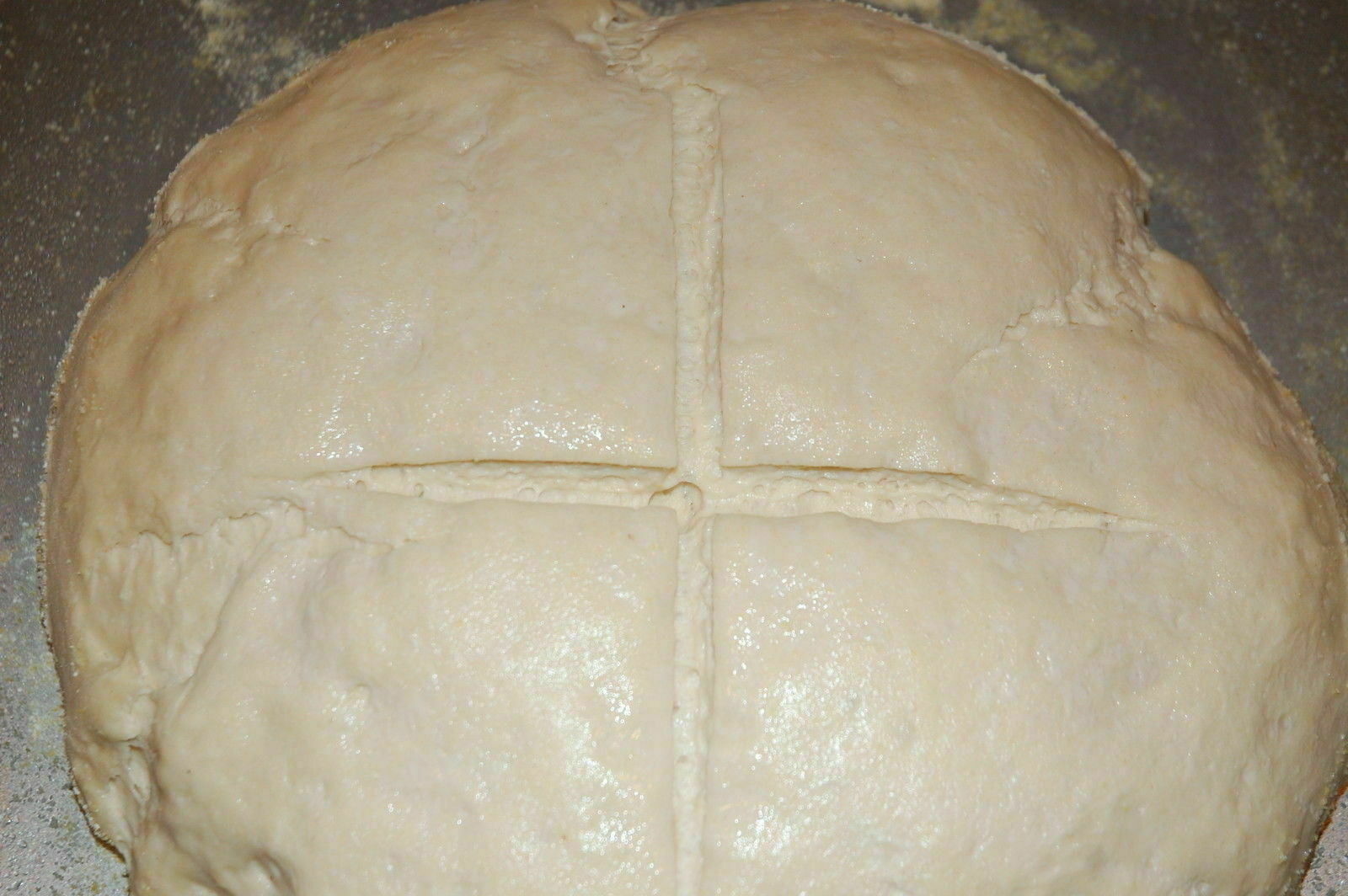 suordough yeast San Francisco BEAST RECIPES mix bread yeast flour machine hand @