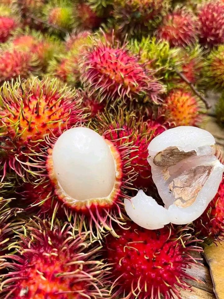 Freeze Dried Tropical Fruit Discovery Pack 4x30g Thai No Sugar Crispy Snack