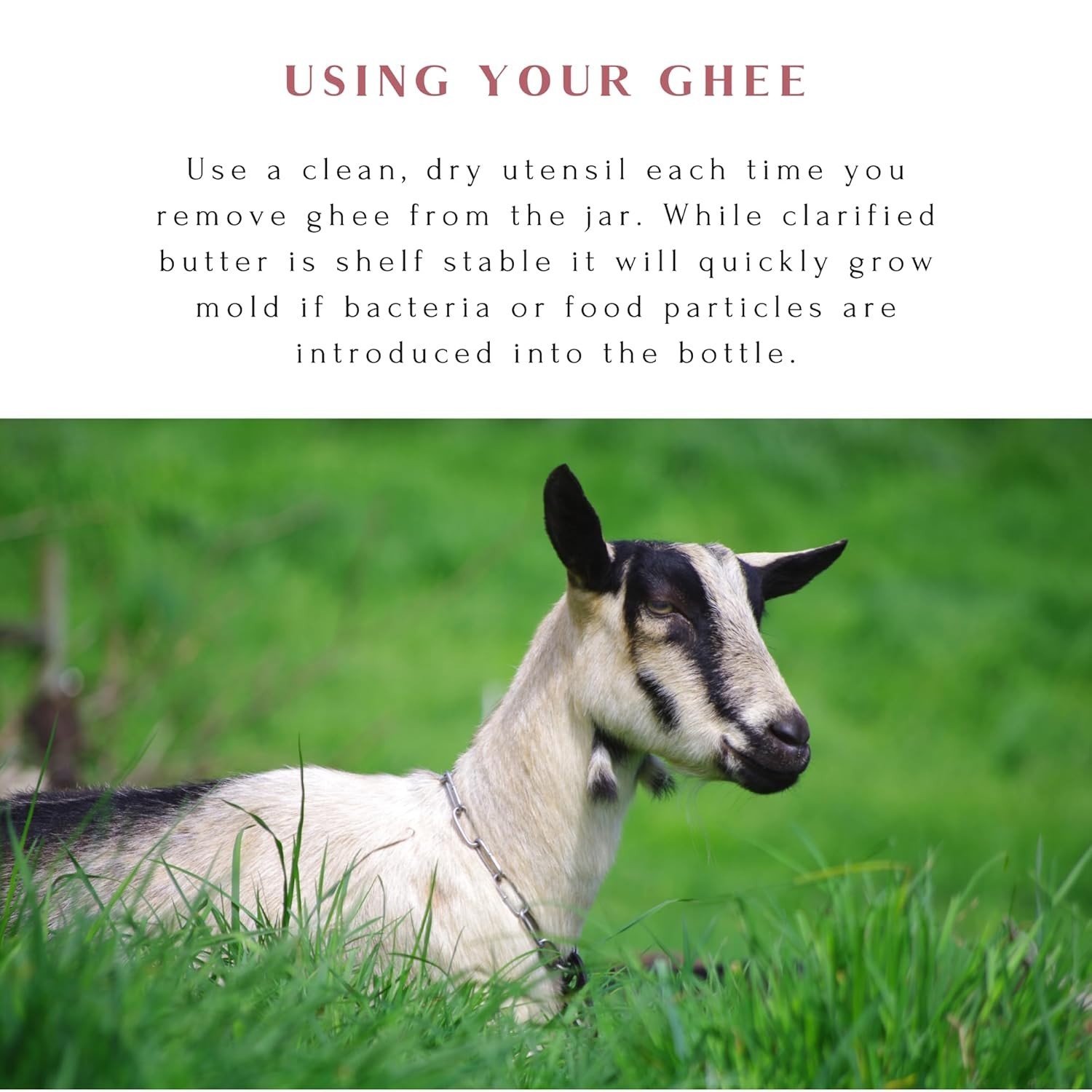 Mt. Capra Goat Milk Ghee | Grass-Fed Clarified Butter High in MCT Oil Perfect…