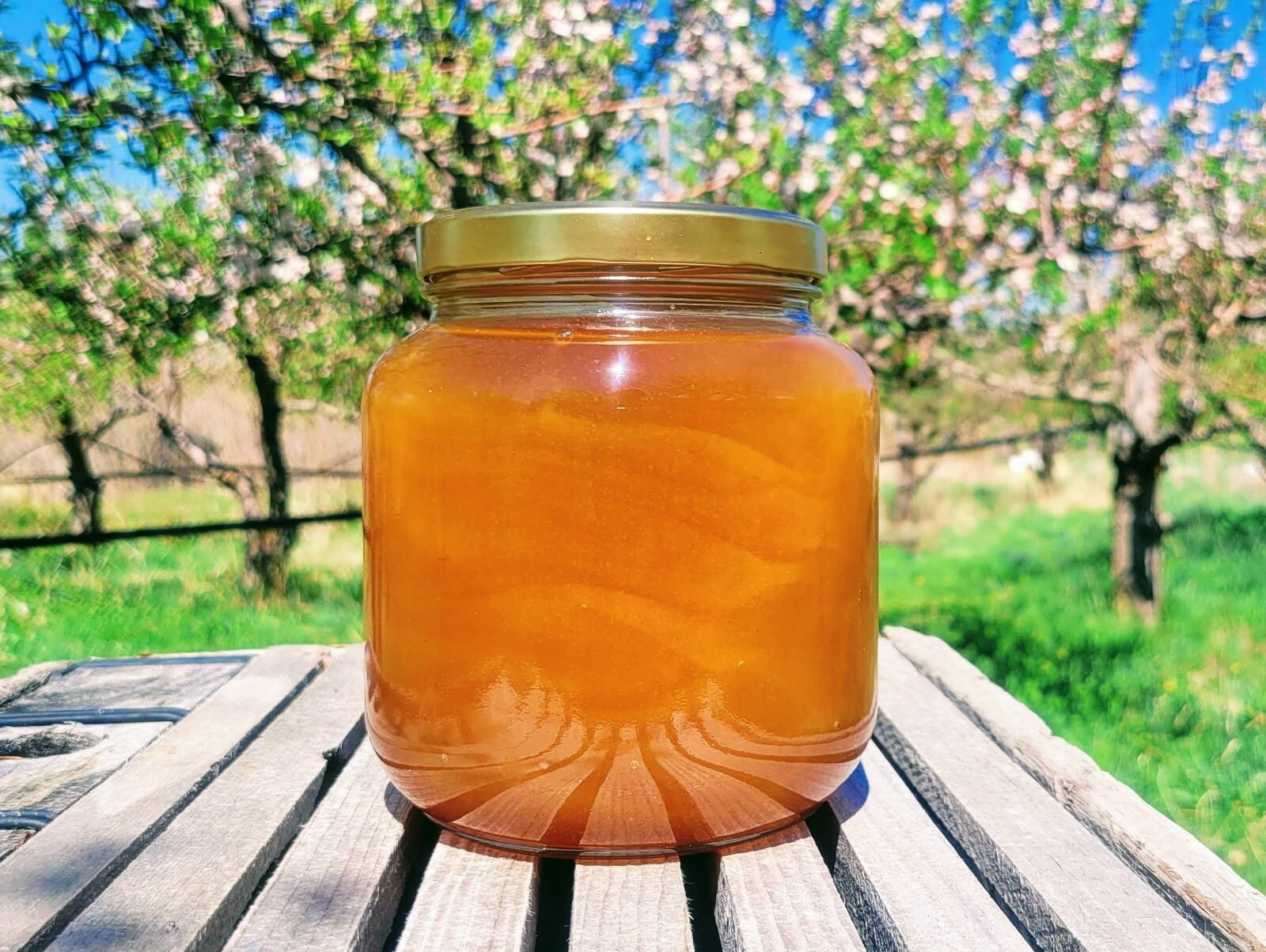 100% Pure Honey in Glass! – 5lbs – Delicious Raw Honey!