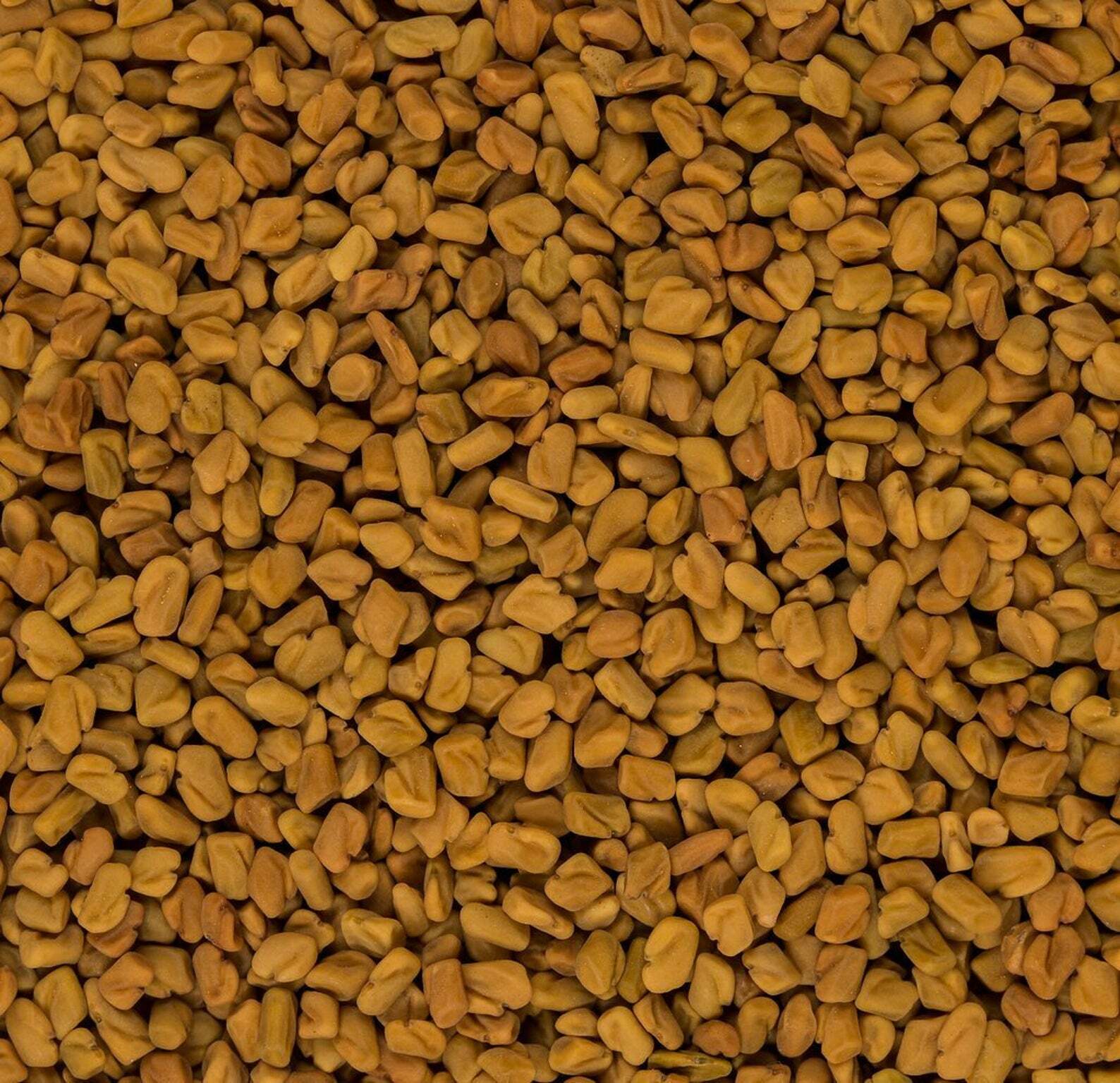 Organic Fenugreek Seeds (Whole) for Cooking, Health, Hair & More