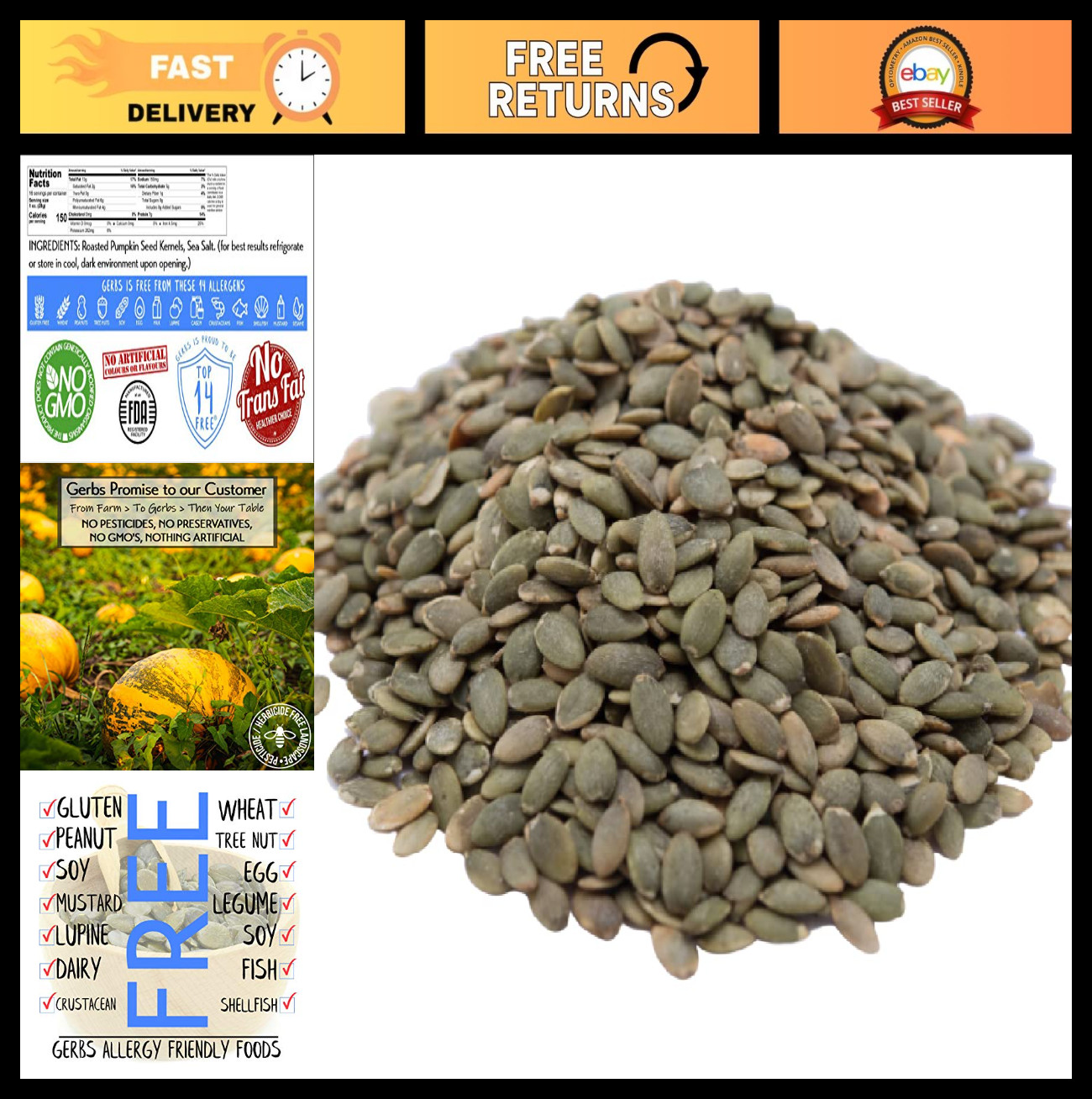 Lightly Sea Salted Pumpkin Seed Kernels 1 lb | Small Batch Roasted, Resealable |