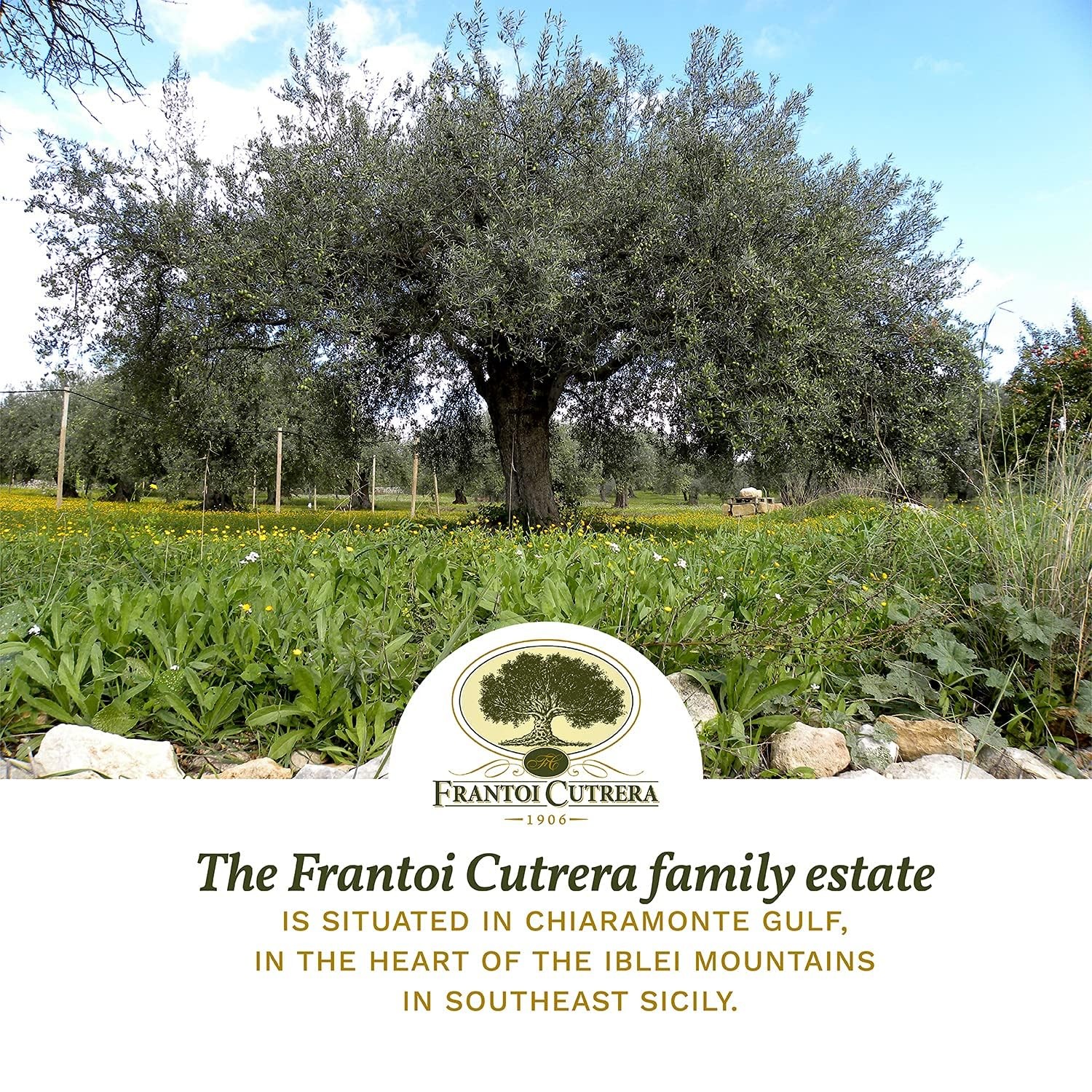 Frantoi Cutrera – Segreto Degli Iblei – Extra Virgin Olive Oil – Sicilian D.O…