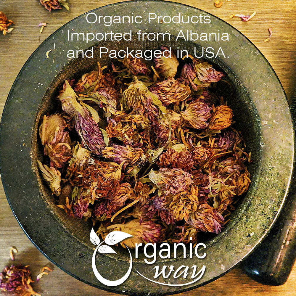Organic Way Red Clover Blossoms Dried Whole – Herbal Tea | European Wild-Harvest