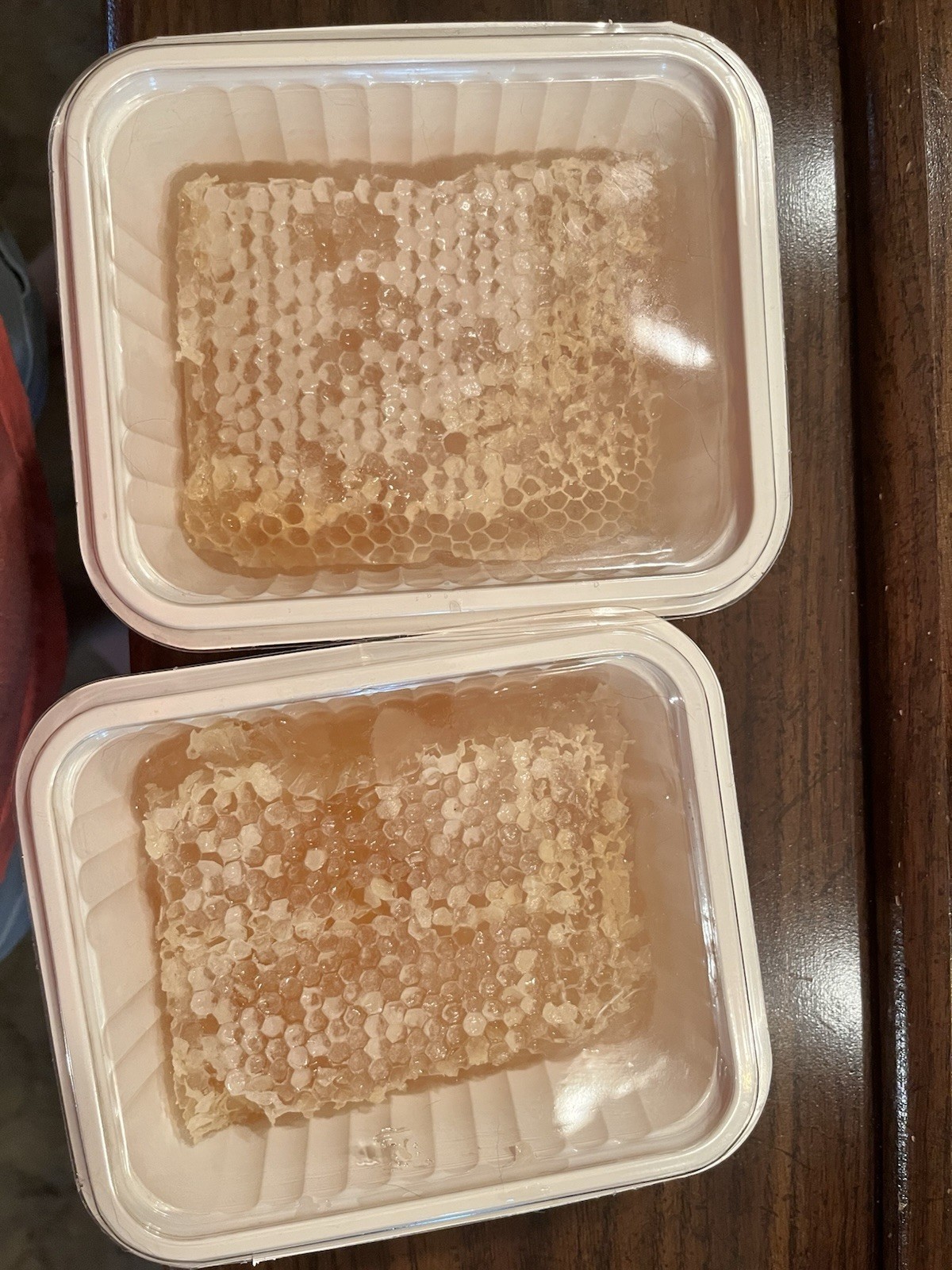 Honey Comb in Plastic Trays/Containers, pure 100% all natural honeycomb