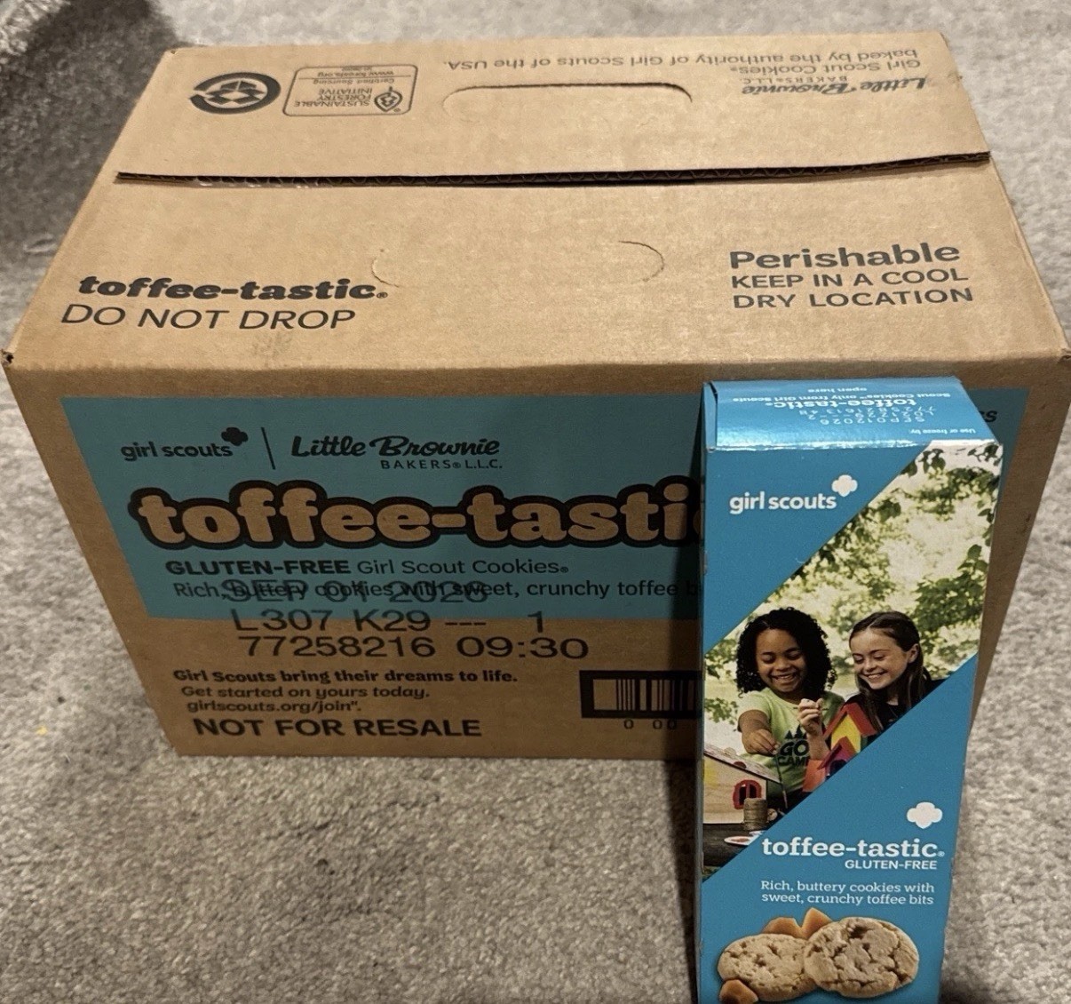 Girl Scout Toffee-tastic Gluten Free Cookies Case 12 Boxes FREE SHIPPING