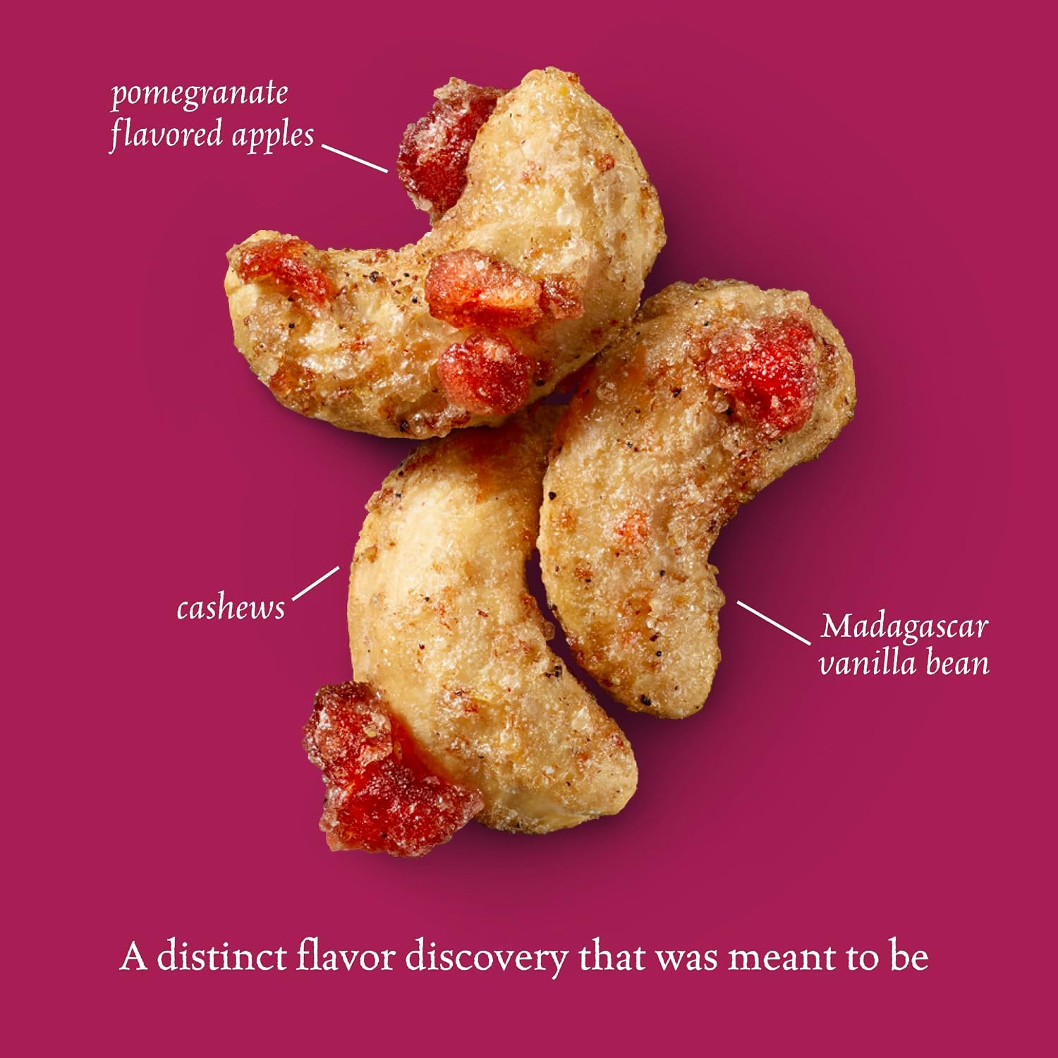 Sahale Snacks Pomegranate Vanilla Cashews Gourmet Glazed Nut Mix 6 Pack