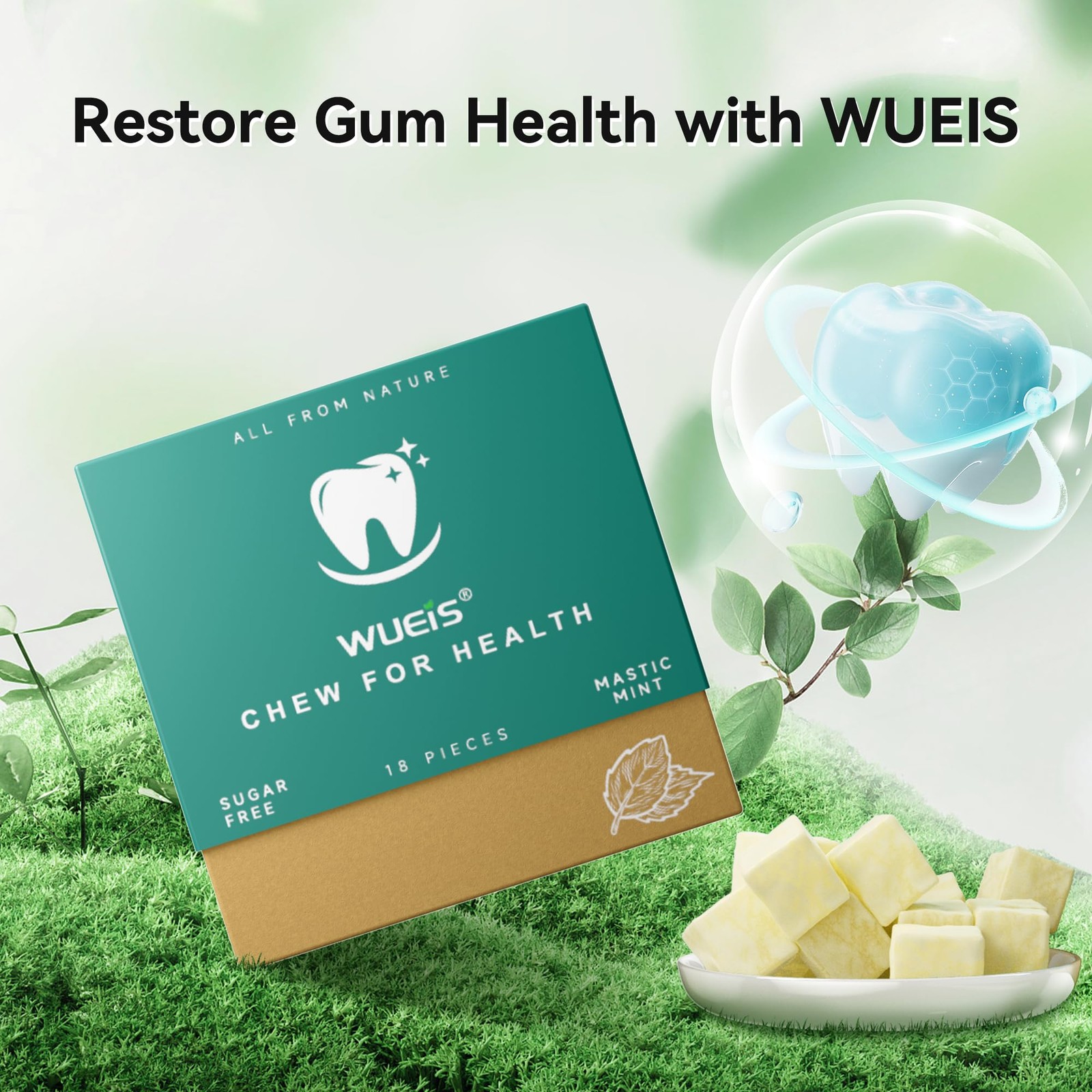 Remineralizing Chewing Gum Frankincense Mint 4-Pack 18 Sugar-Free Pieces