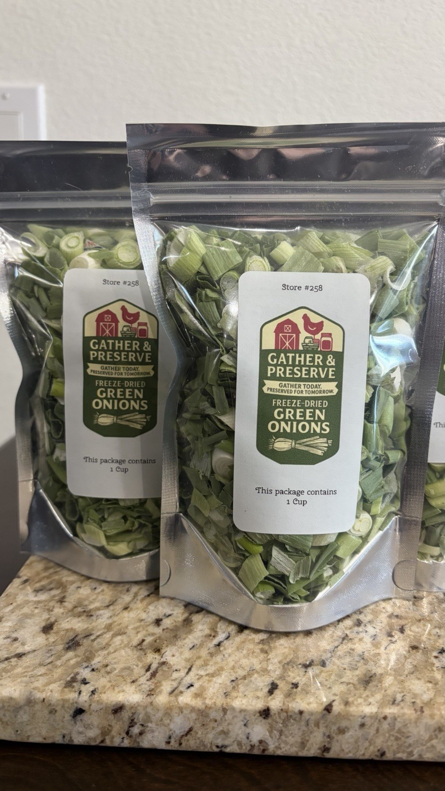 Gather & Preserve Freeze Dried Green Onions 1 Cup Dried Fruit & Vegetable