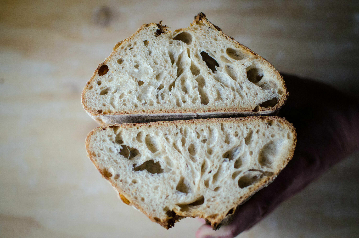 San Francisco SOURDOUGH live YEAST Purely Organic wharf FRESH BATCH MONTHLY