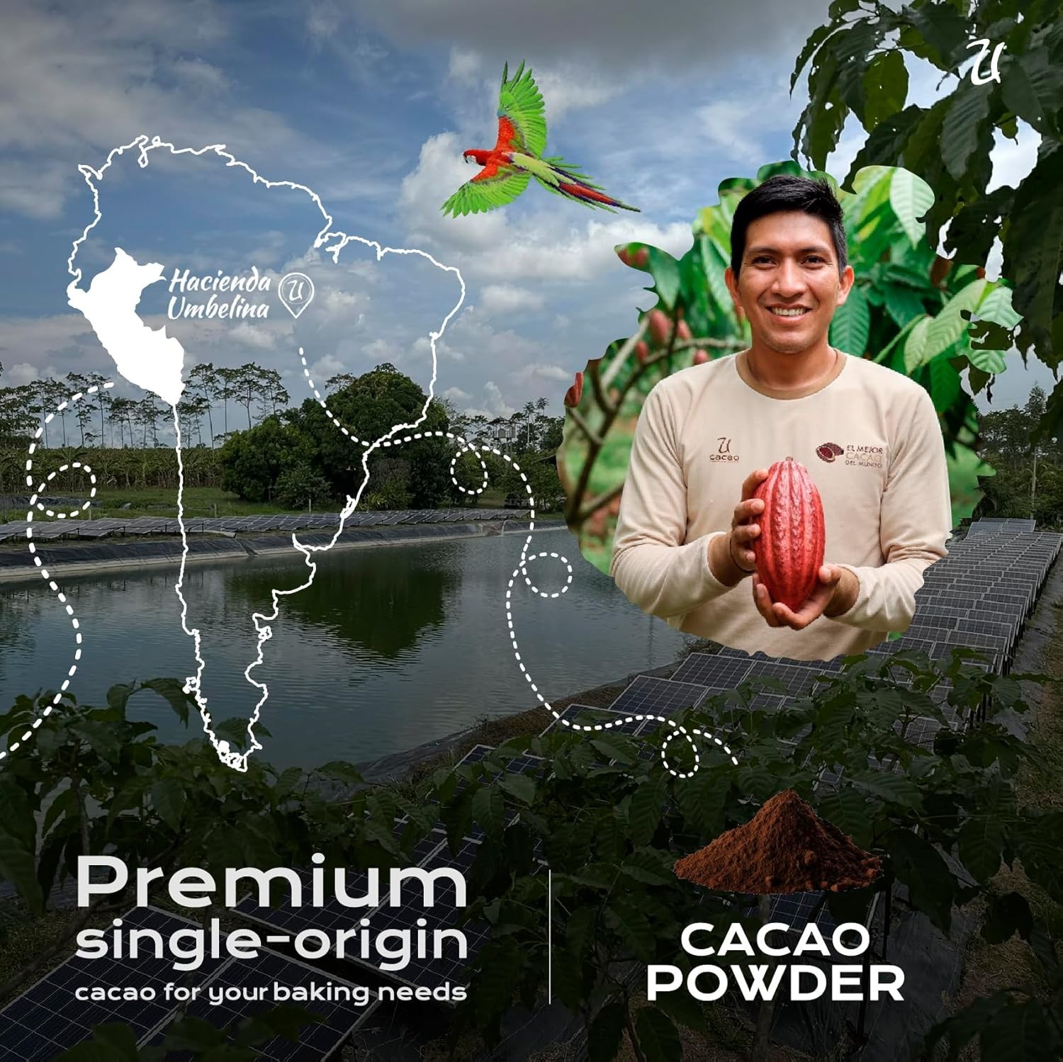 Organic Cacao Powder Raw Peruvian USDA Certified Non-GMO Vegan 16oz