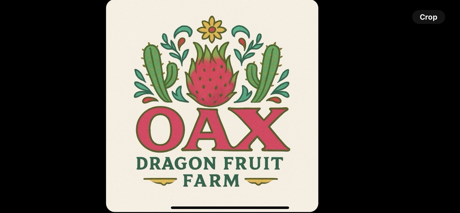 Multi Variety Mix Box Dragon Fruit 10 Pounds