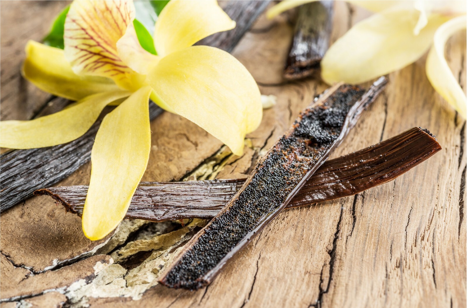 Organic Madagascar Vanilla Beans Whole Extract Grade B Pods for Vanilla Extract