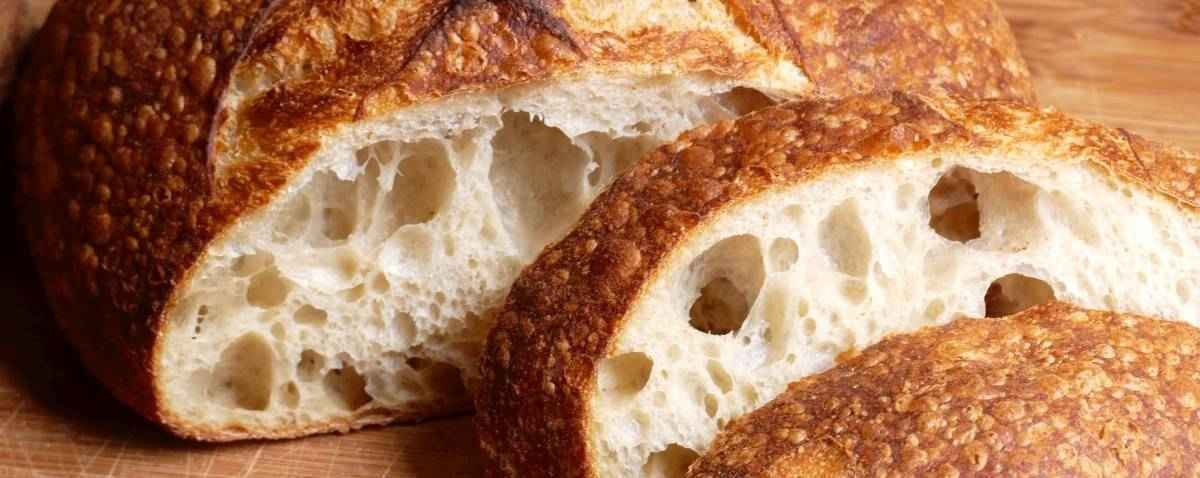 live ZOURDOUGH SOURDOUGH STARTER «San Francisco» BEAST 10starters in 1 d