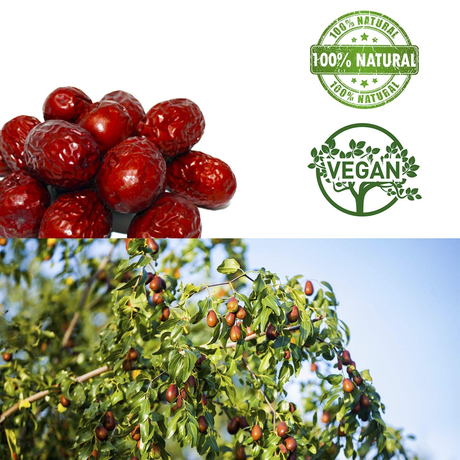 4 Pound Premium Jujube Red Dates, 100% Natural Red Date (Hong Zao) High Vitam…