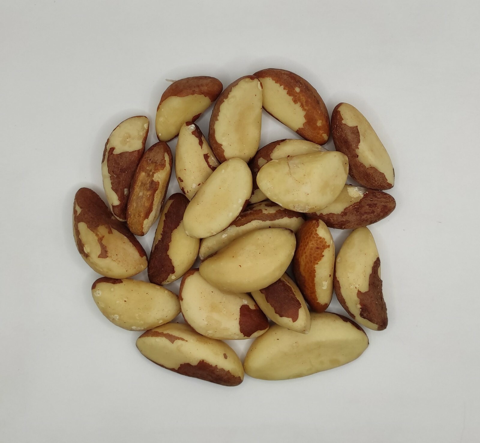 Dried Brazil Nuts 40g(1.4oz) – 1.95Kg(68.8oz) Bertholletia excelsa