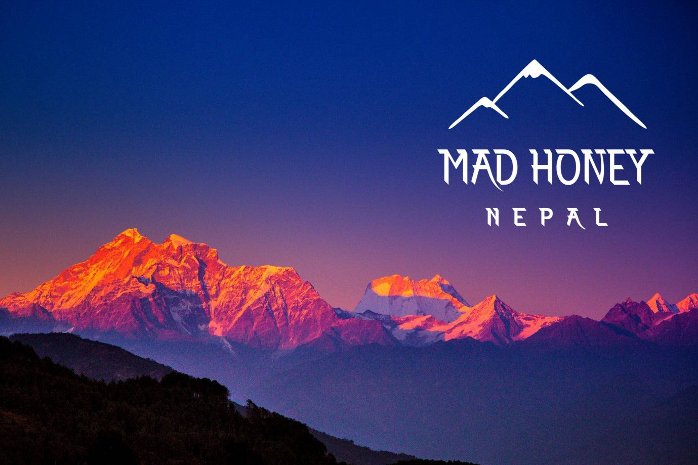 Wild Himalayan Honey Red Honey | 150g | Nepal Honey