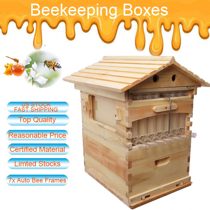 Certified Waxed Wooden AUTO Shed Beehive BeeHives 7 Plastic Beekeeping Frames