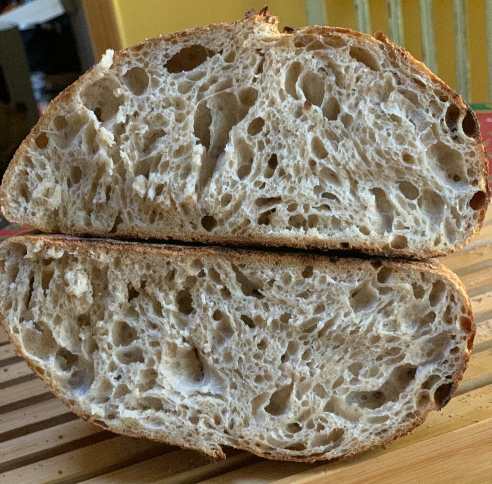 Sourdough Starter Dehydrated Schia Island Action Italian – 15 Gram Bag