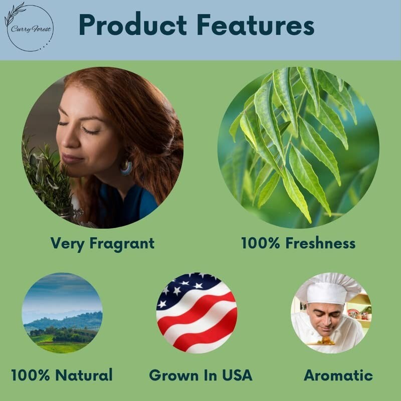 Curry Leaves 1oz (28g) ~ All Natural | Vegan | Gluten Friendly | NON-GMO | USA