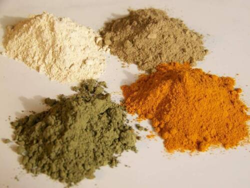 Celery Fine Powder Apium Graveolens Spices Fresh Pure Premium Quality