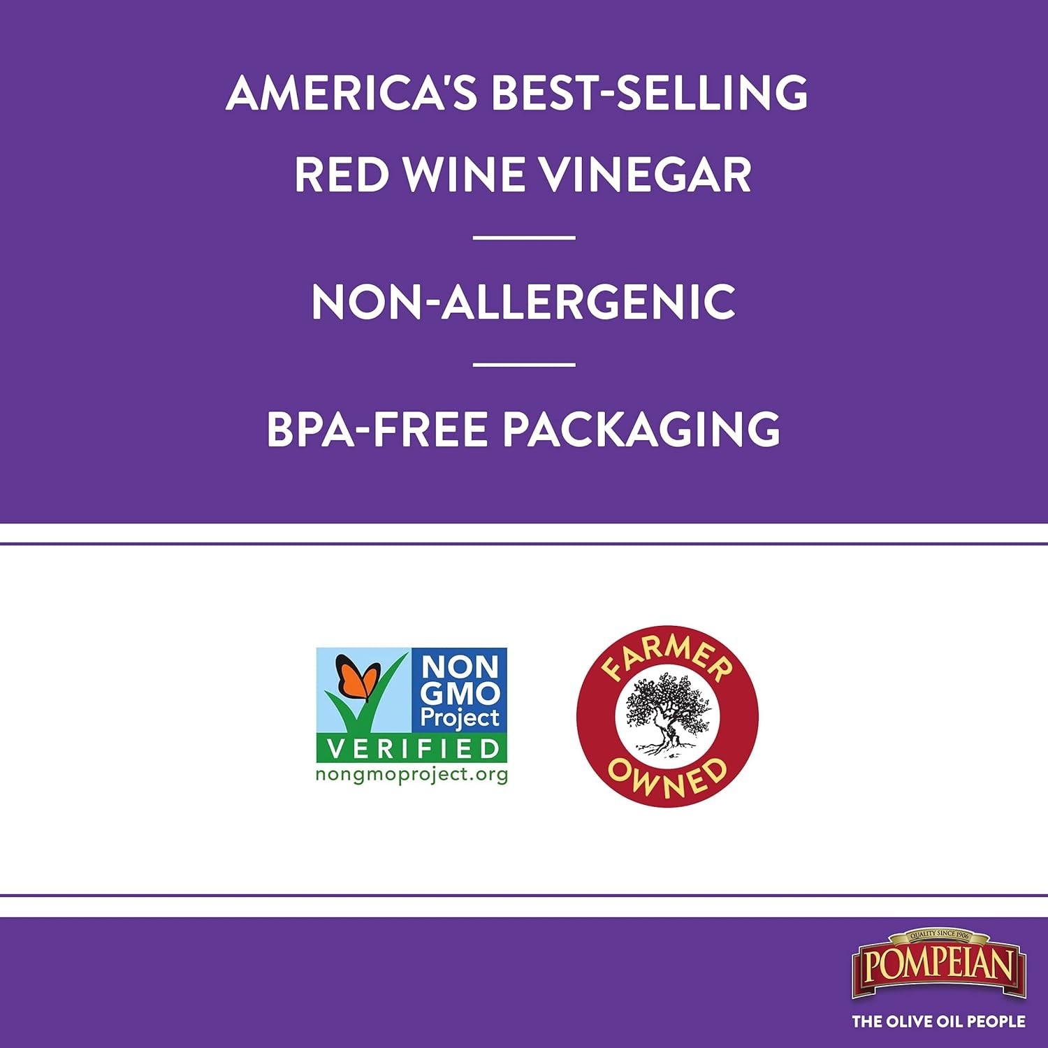 Handcrafted Red Wine Vinegar – 30 Fl Oz – Gluten-Free Flavor Enhancer (2 Pack)