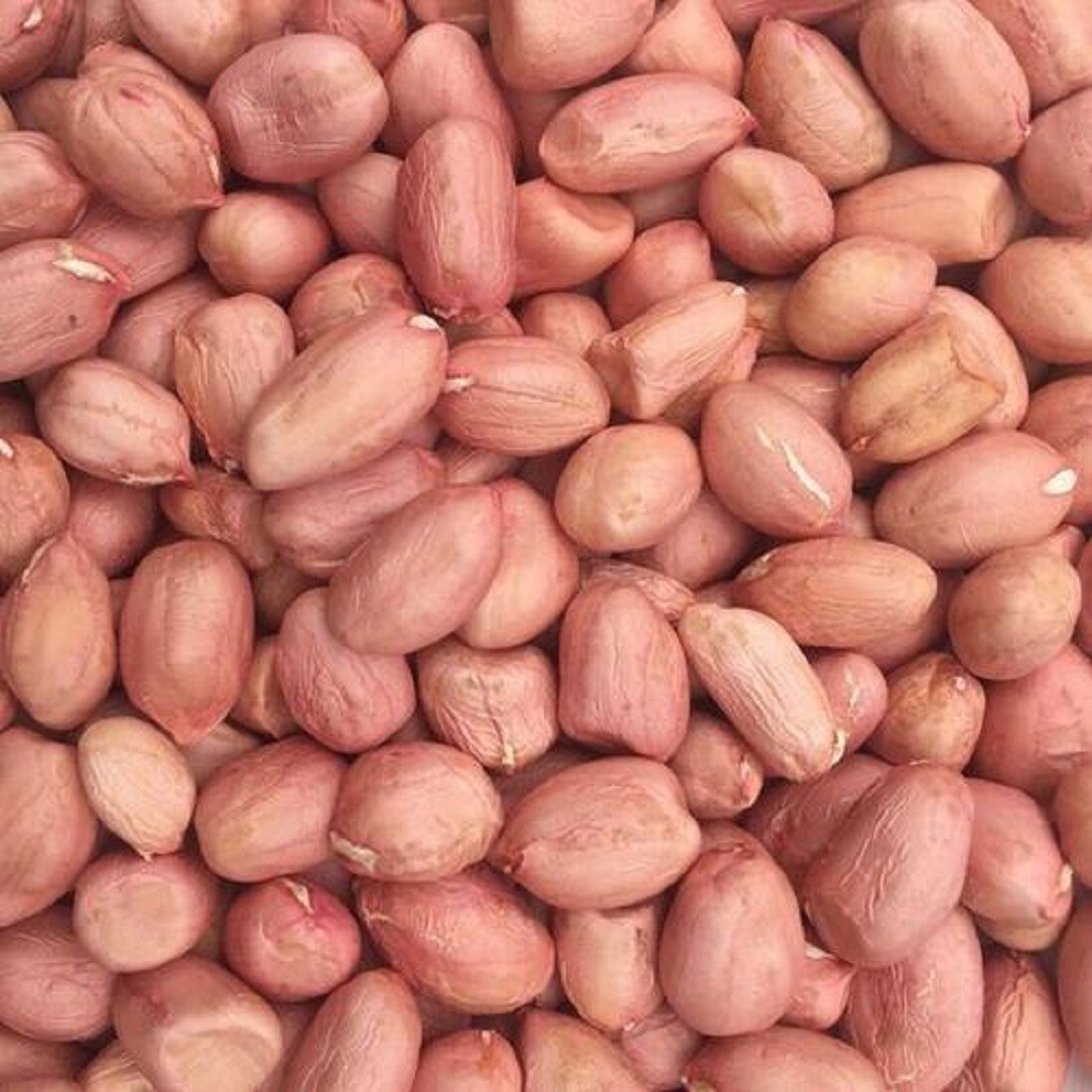 All Natural Raw Red Skin Peanuts Red Skin,USA Product 8oz-10lb