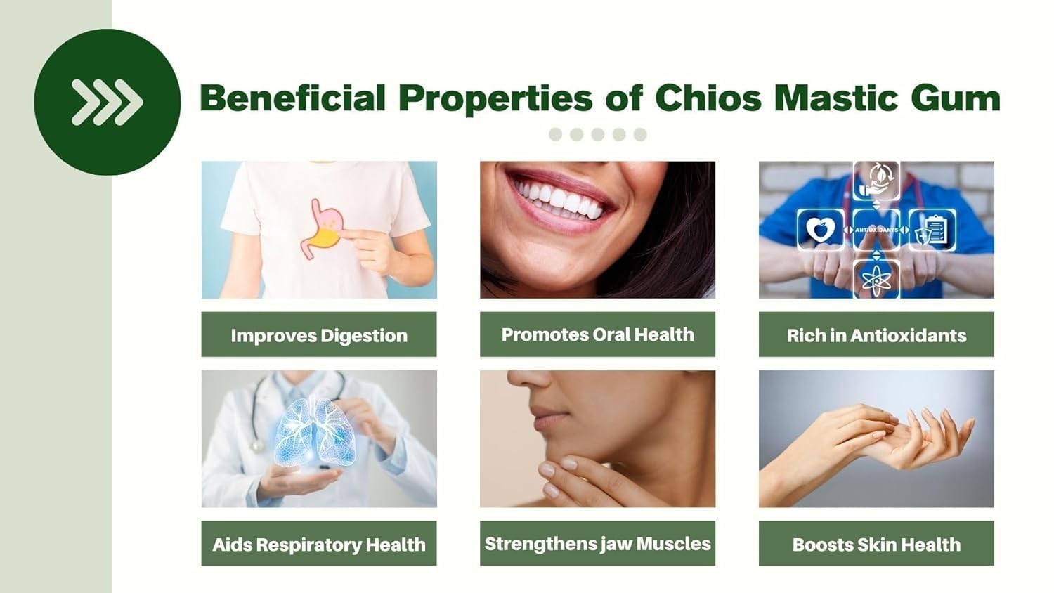 Mastic Gum Chios Mastiha Gum Greek 100% Natural Packs 20 gr /0.88Oz Medium Tears