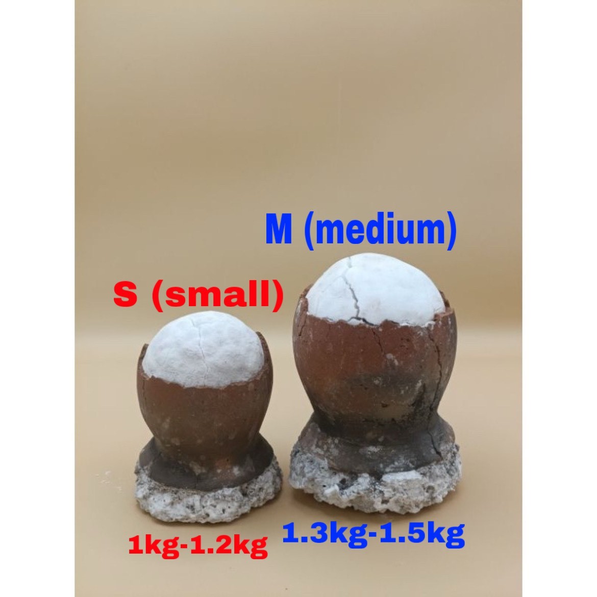 1 Unit Asin Tibuok Dino Egg Artisanal Coconut Sea Salt Bohol Philippines – DHL