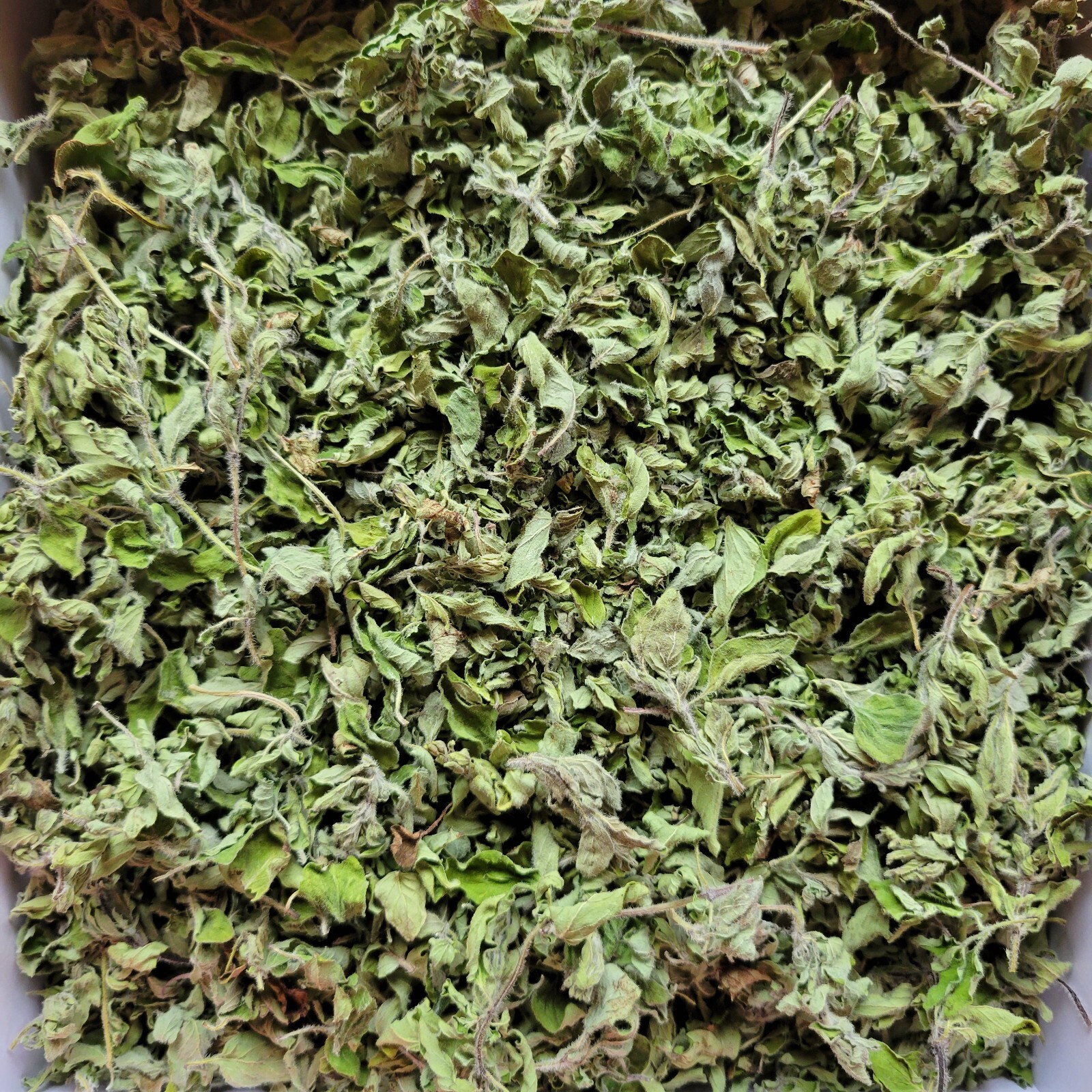 Dried Organic Oregano Uncrushed Whole Leaf Spice/Tea Spring New Crop 2 or 4 Oz