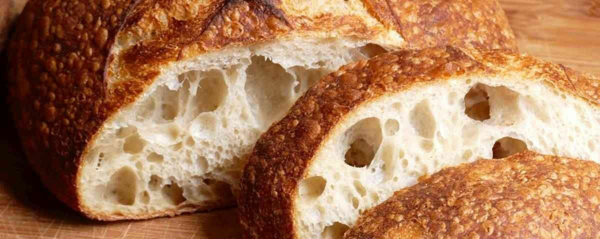 San Francisco live sourdough yeast, make sourdough bread at home, beast BONANZA