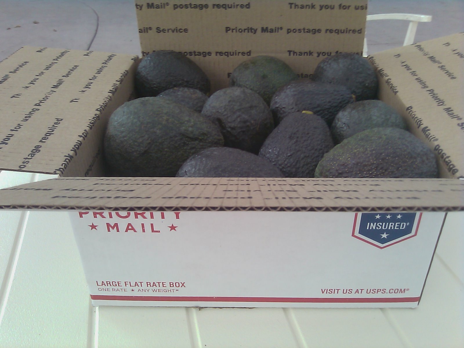 Organic Avocados – Large Hass – No Pesticides or Herbicides – Large Box