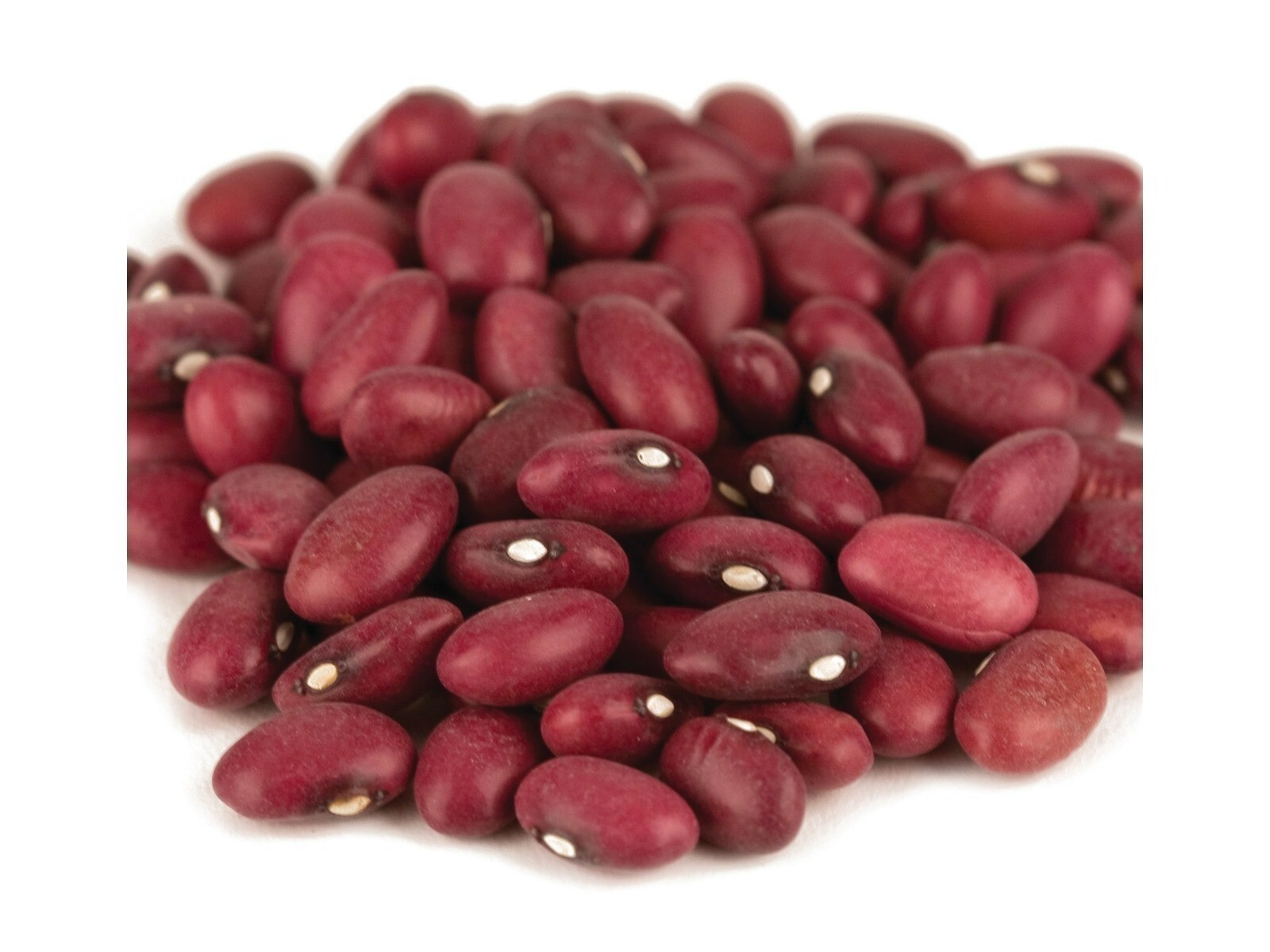 Small Red Bean Beans 10 Pounds Free Shipping