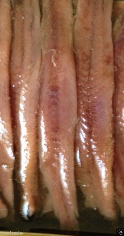 Big Anchovies FLAT Fillets in Oil 793gm «28 OZ» Anchovy TASTY! FREE SHIP! SAVE A