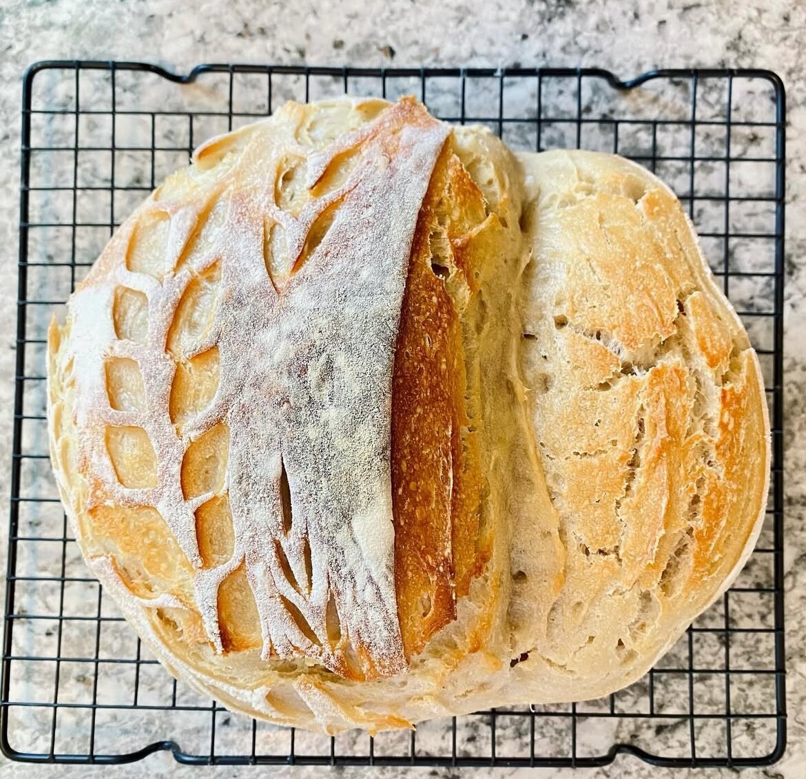EASY Sourdough Starter Heritage San Francisco – Live 200yrs Old TOP SELLER!