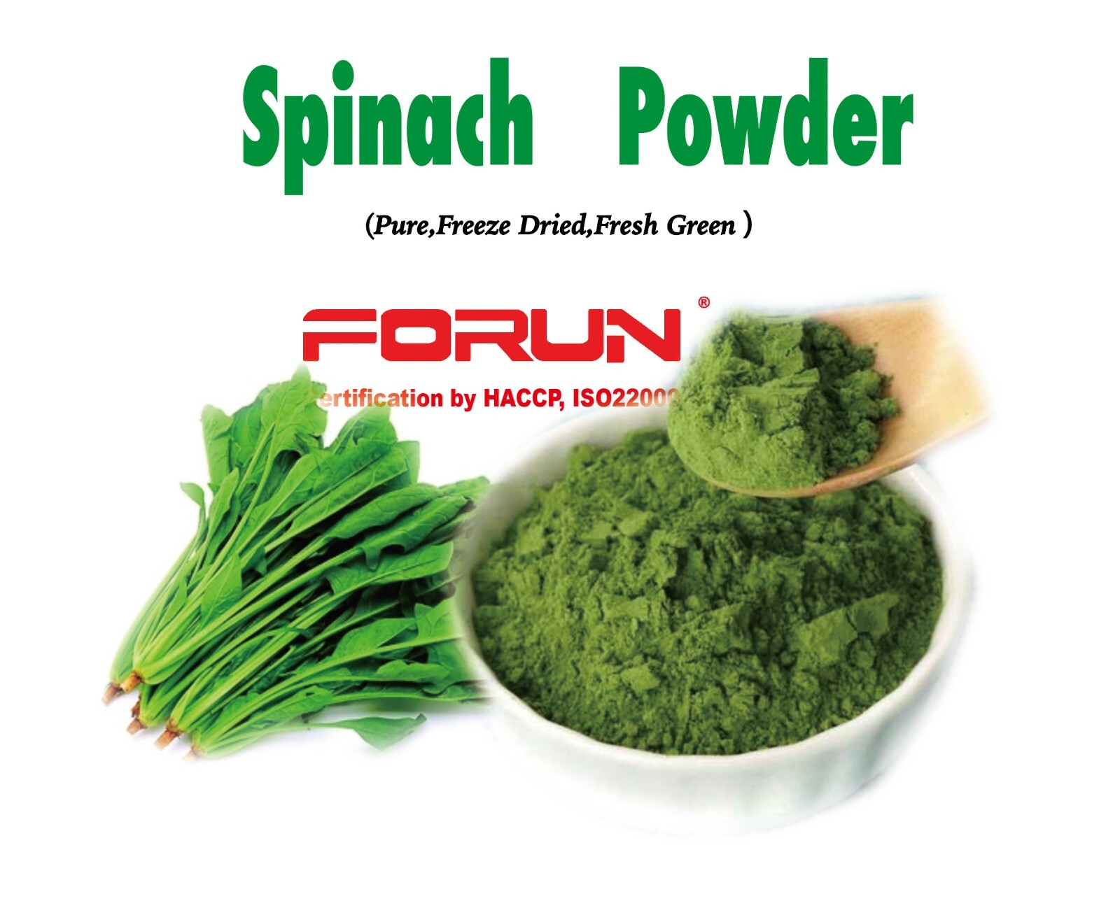 FORUN Premium Spinach Powder 1KG-100% Pure,Fresh Green