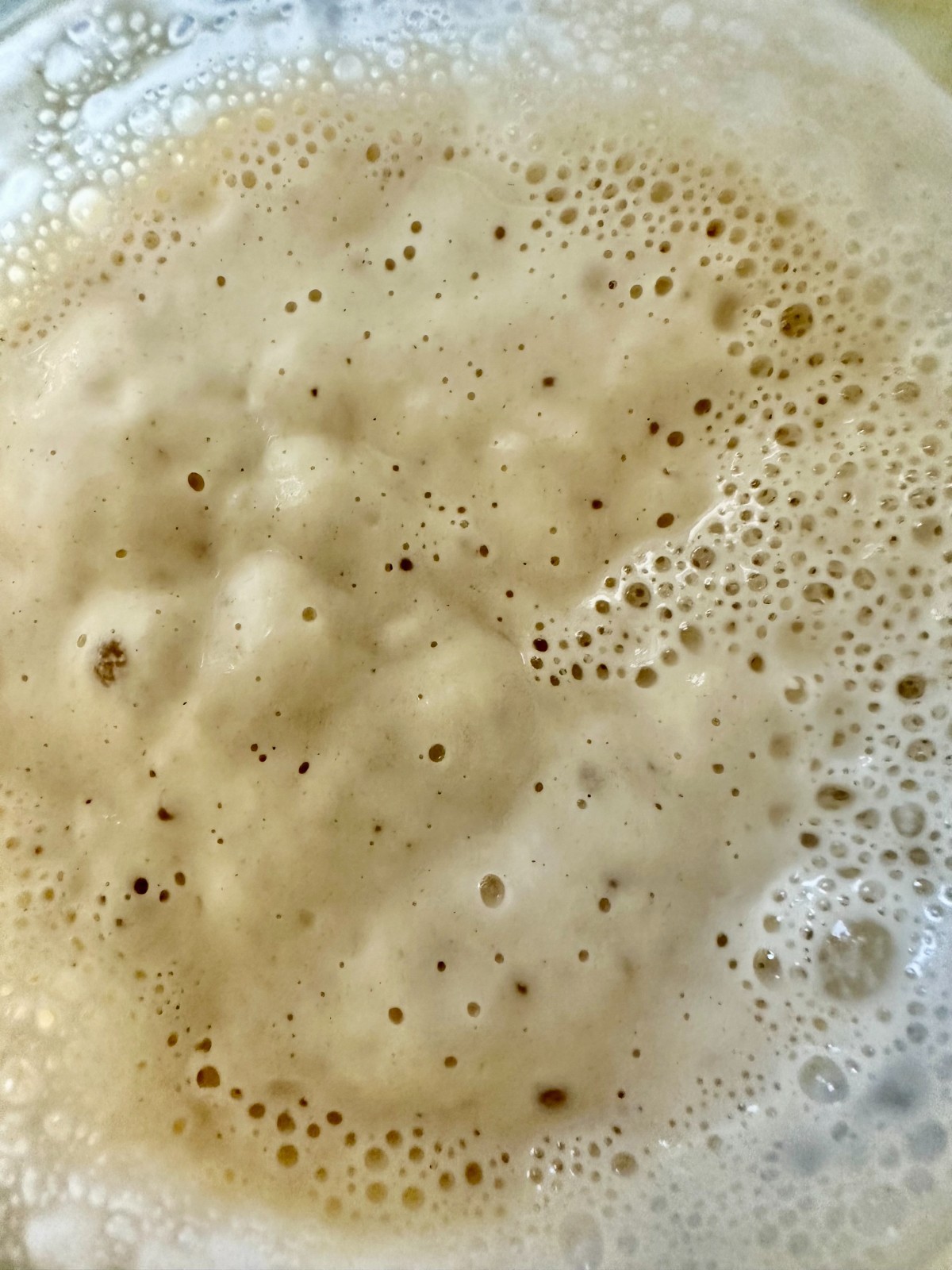 150+ Year Old San Francisco Sourdough Starter + Beginner Guide
