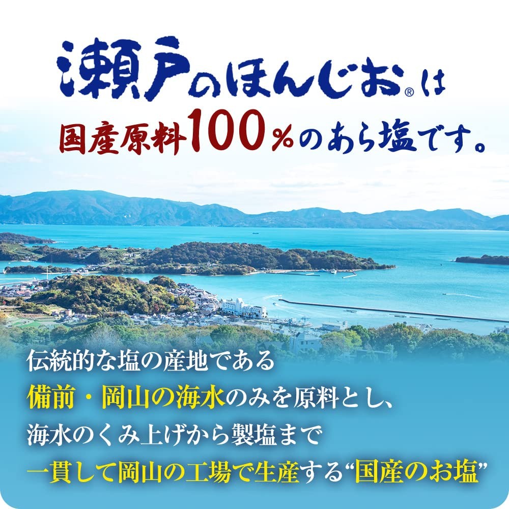 Ajinomoto Seto Honjio Roasted Salt 200g x 5 packs