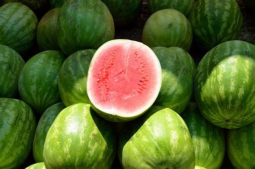 Watermelon powder 16oz 1lb – vi C, LYCOPENE refreshing , exclusive flavor – PAJE