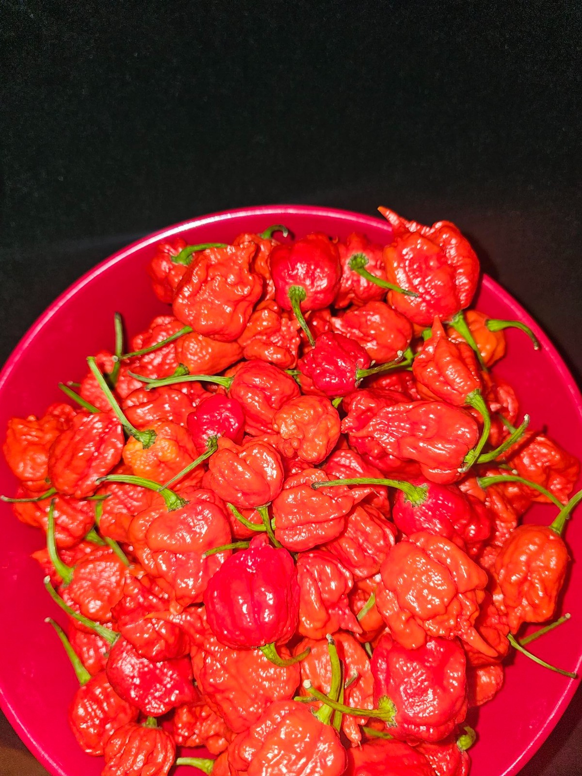 Zozoma Farms 3 Pounds Carolina Reaper Chili Peppers