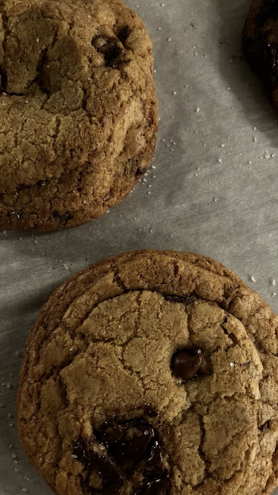 Homemade Chocolate Chip Cookies Fresh Two Dozen (24 Count) Free Shipping