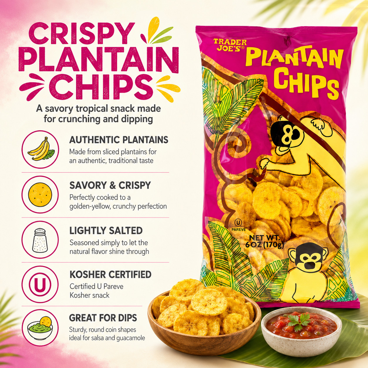 Trader Joe’s Plantain Chips 6oz