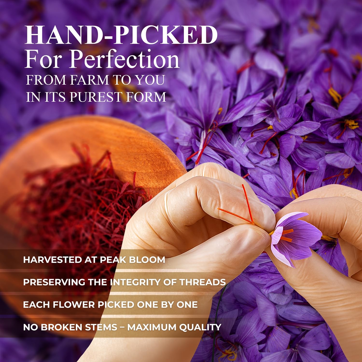 – Premium Super Negin Saffron Threads, Grade A+ | Gourmet Chef’s Select Spice…