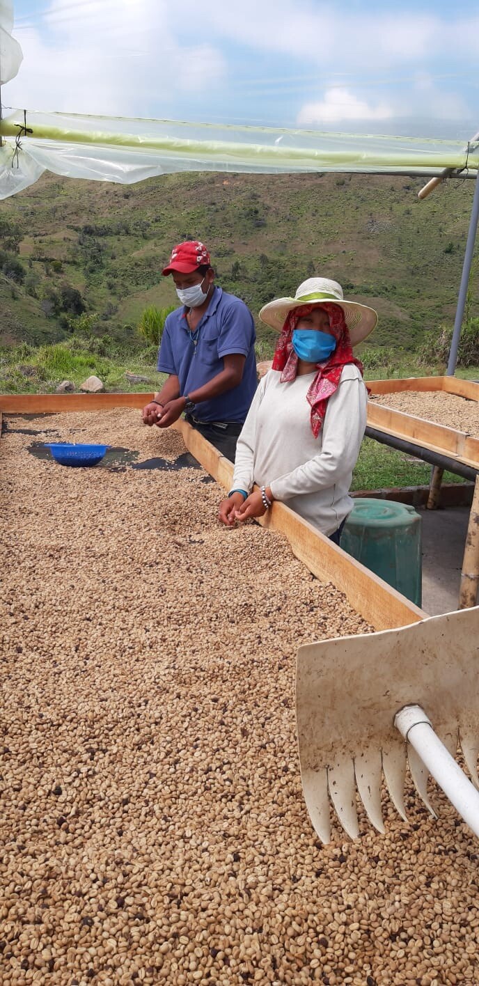 Premium Colombian Coffee Beans – Medium Roast (1lb.)