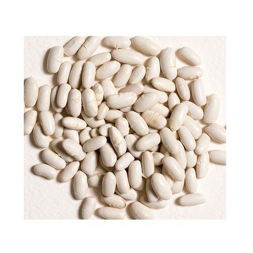 CANNELLINI BEANS White Kidney Bean Dry 1kg 2kg 5kg 10kg 15kg 20kg 30kg 40kg Bulk