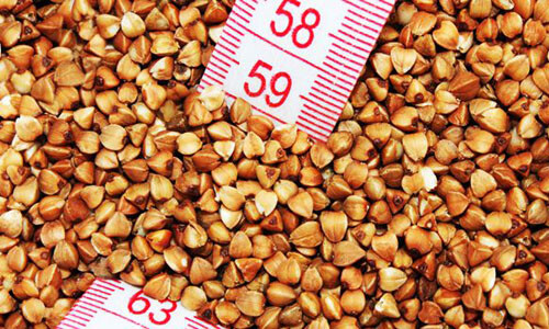 Skvira Gluten Free Buckwheat Groats Roasted 1.76 lb / 800 g
