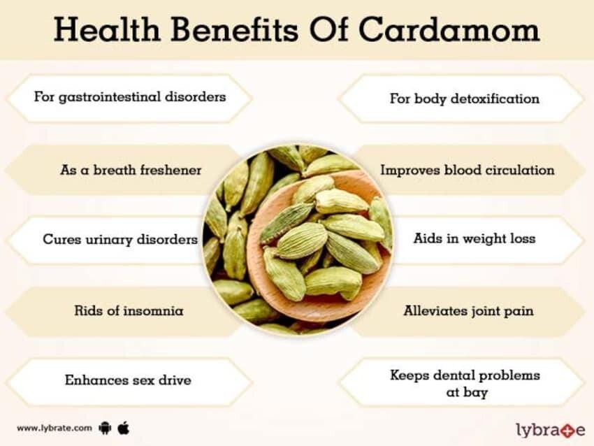 Organic Cardamom Seeds Pods Natural Ceylon 100% Quality Spices Premium 25g A+