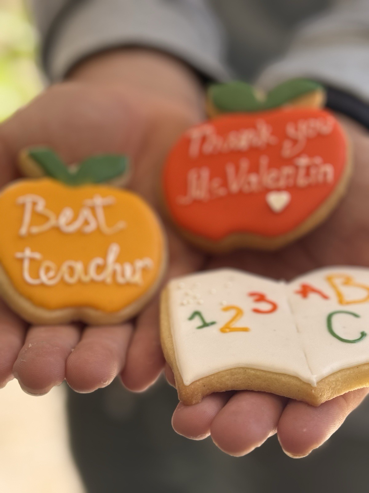 12 Best Sugar Cookies Custom Made To Order, Gift for Teacher, School, Birthday