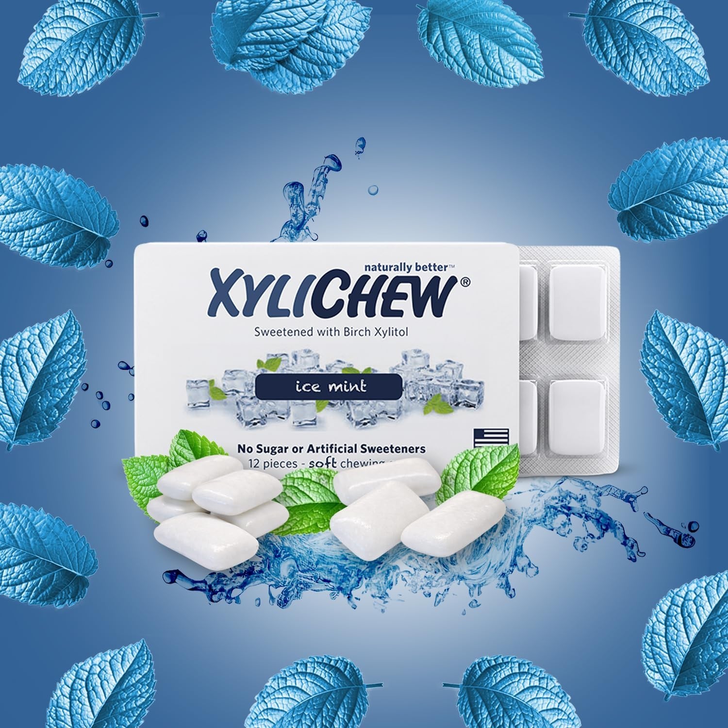 Xylichew 24 PACKS Xylitol Chewing Gum Ice Mint Sugar Free 288 PIECES 12 Per Pack